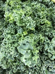 Kale is a dark leafy green superfood that is loaded with beneficial nutrients Kale is a dark leafy green superfood that is loaded with beneficial nutrients